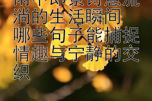 雨中即景诗意流淌的生活瞬间  
哪些句子能捕捉情趣与宁静的交织