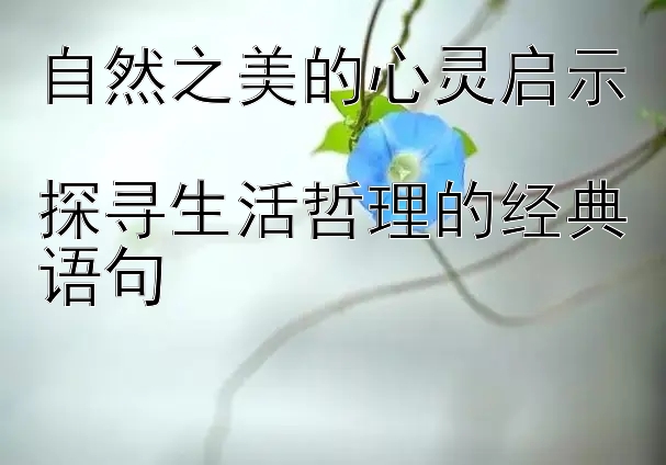 自然之美的心灵启示  
探寻生活哲理的经典语句