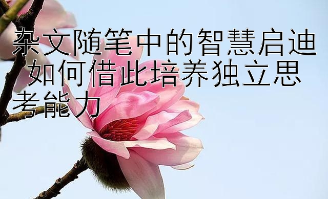 大发导师带人回血稳定计划   杂文随笔中的智慧启迪 如何借此培养独立思考能力