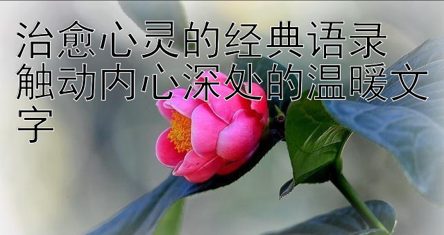 治愈心灵的经典语录 触动内心深处的温暖文字