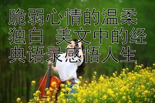 脆弱心情的温柔独白 美文中的经典语录感悟人生